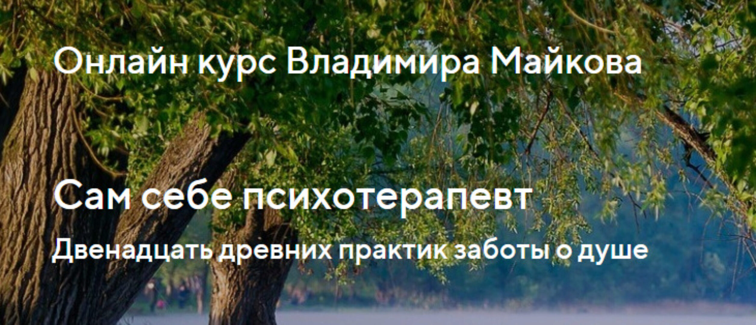 Сам себе психотерапевт. Двенадцать древних практик заботы о душе. Тариф Базовый  (Владимир Майков)