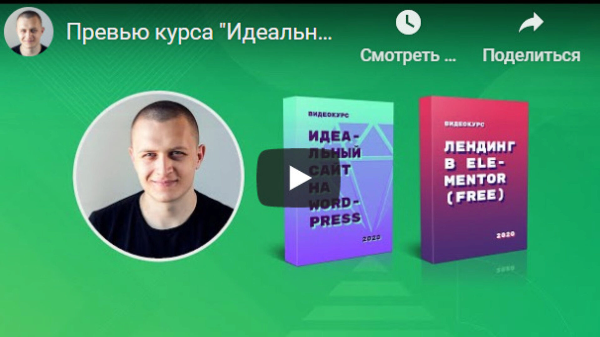 Идеальный сайт на WordPress (Илья Чигарев)