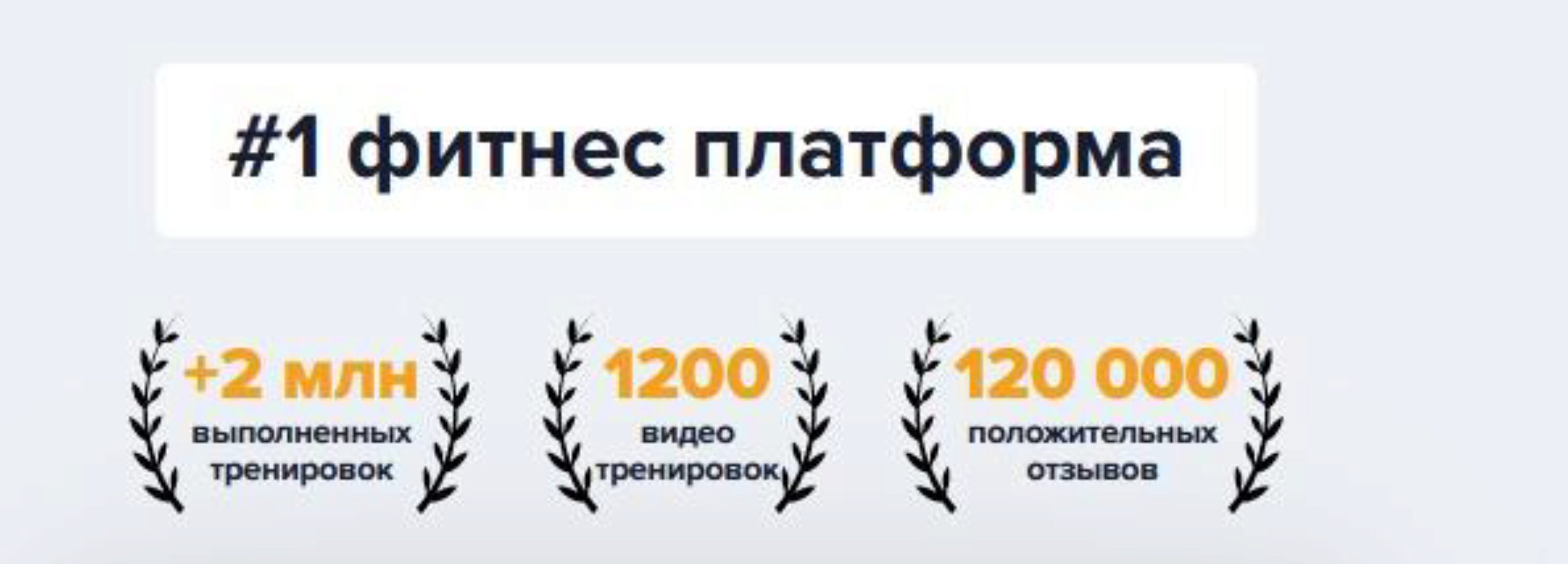 Подписка на год 2022 (Fitstars)