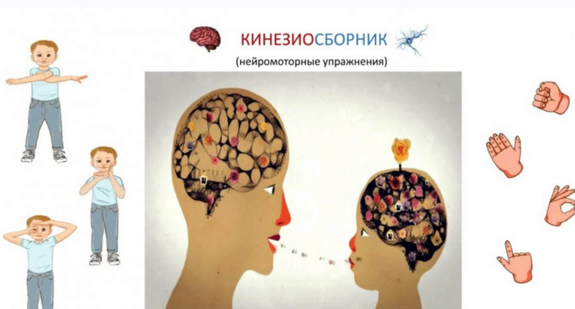 [logopedgalinaby] ЛогоКурс Кинезиосборник (нейромоторные упражнения)