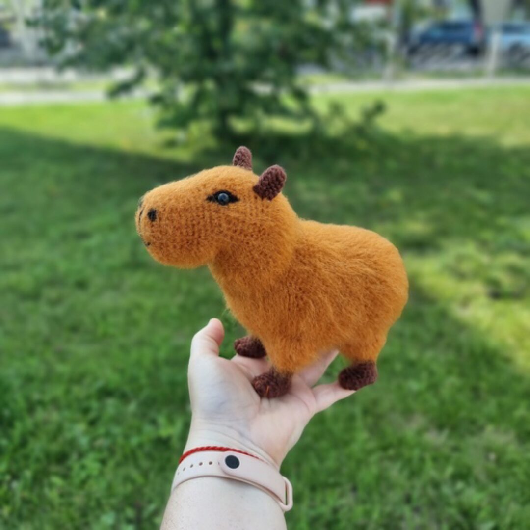 Капибара (Елена Кузнецова)