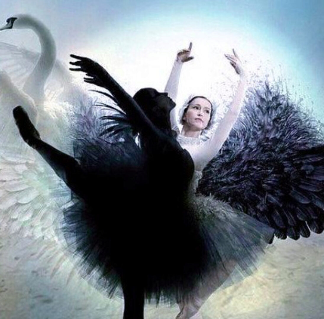 Интеграция Тени (Наталья Приймаченко)