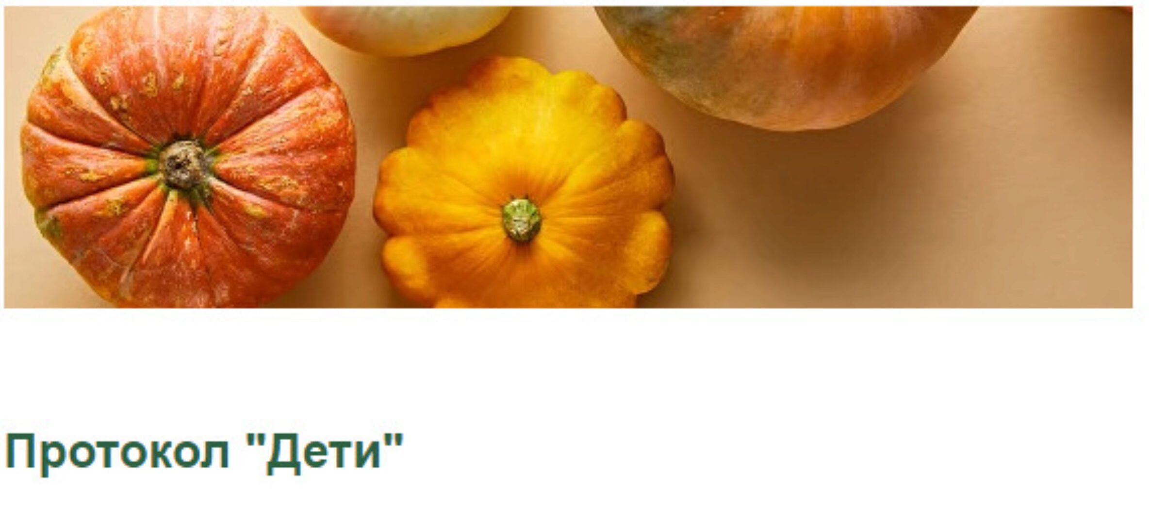 Протокол Дети (Светлана Литвиненко)