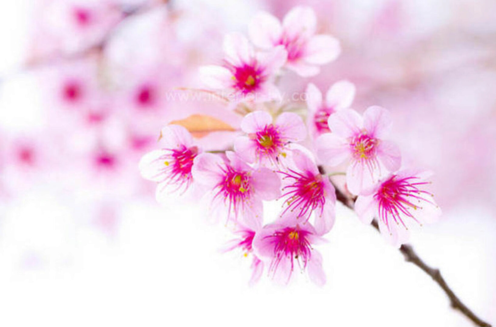 [ВиЭль центр] Женское состояние (Оксана Алексеева)