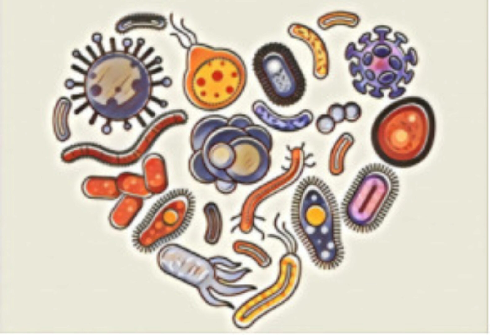 [Первая школа биохакинга] ГХМС по Осипову (Лариса Щербина)