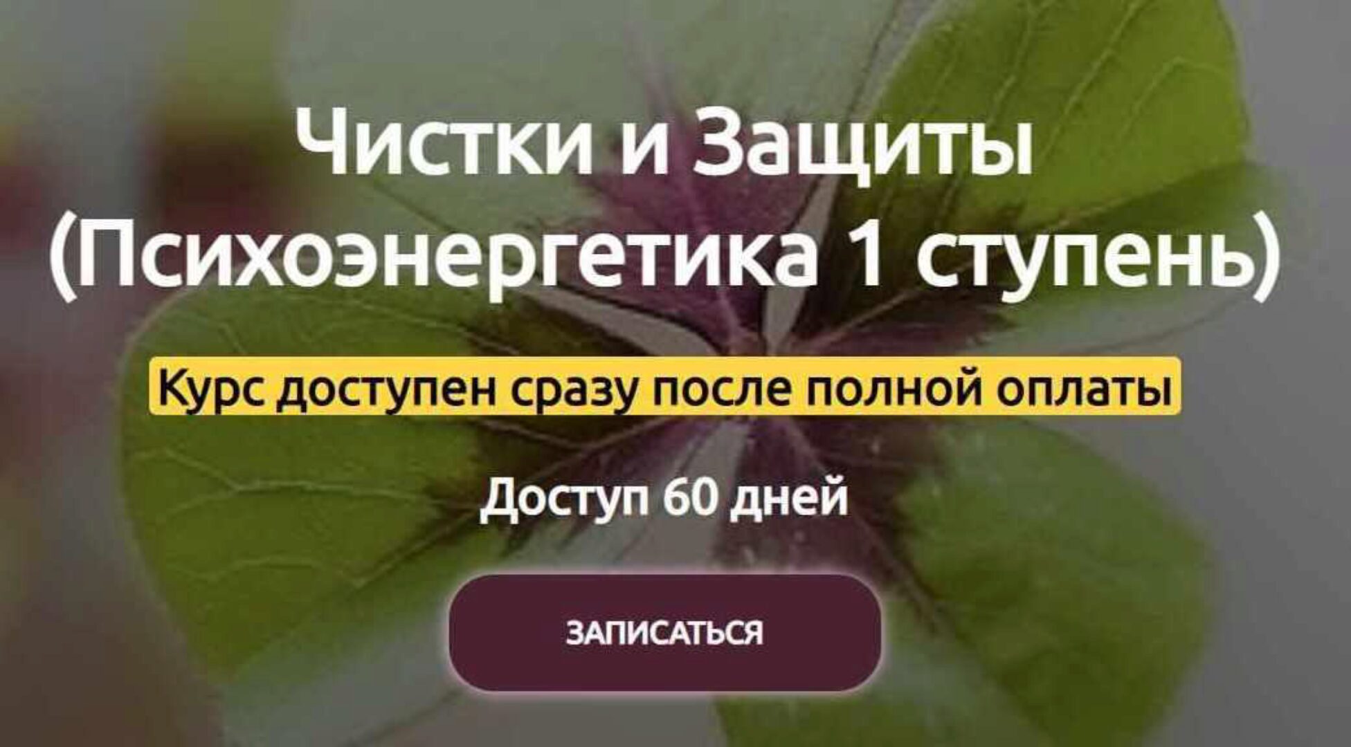 Психоэнергетика. 1 ступень. Чистка и защита (Марина Реснайс)