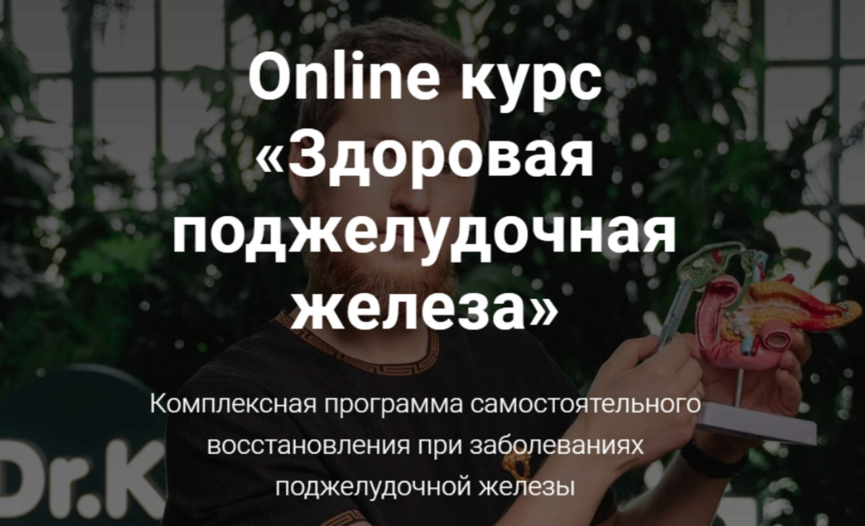 Здоровая поджелудочная железа (Тимофей Кармацкий)