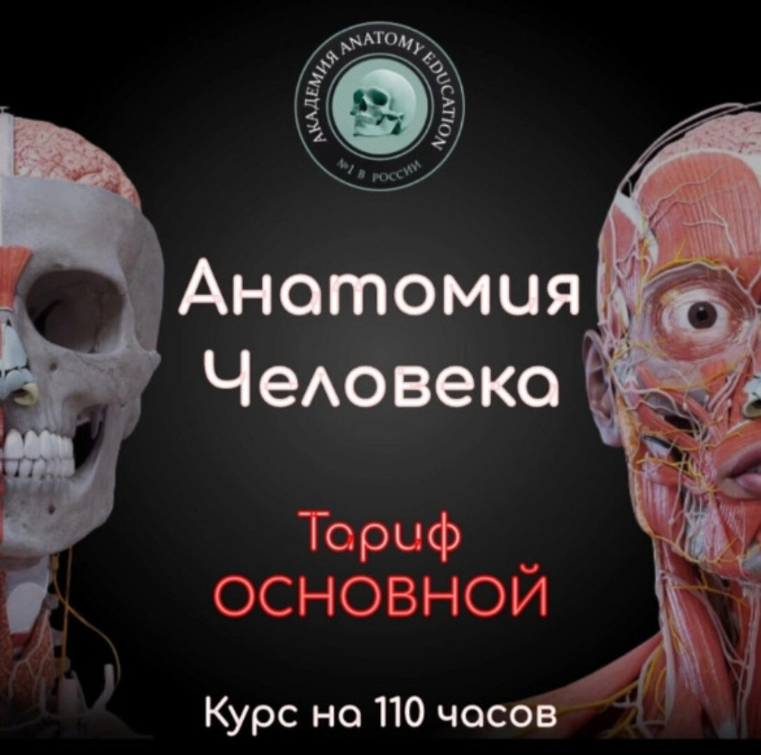 Анатомия человека. Тариф Основной (Эдгар Кафаров)