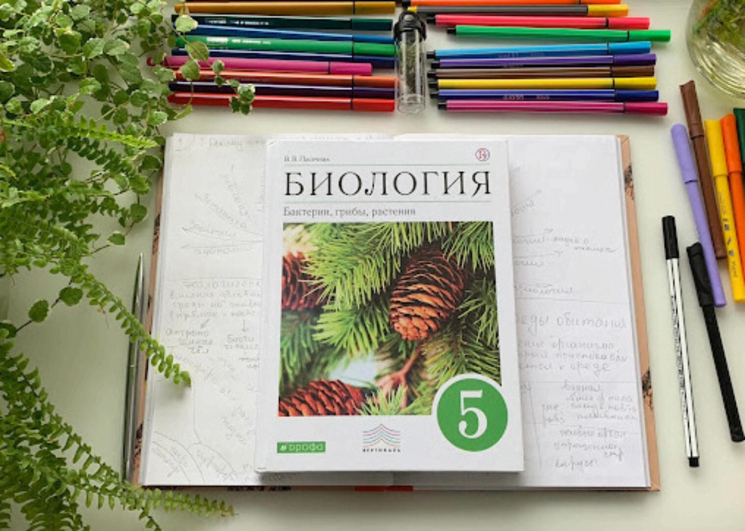 БотаникУм. Темы уроков для 5-6 классов (Алина Чабуткина)