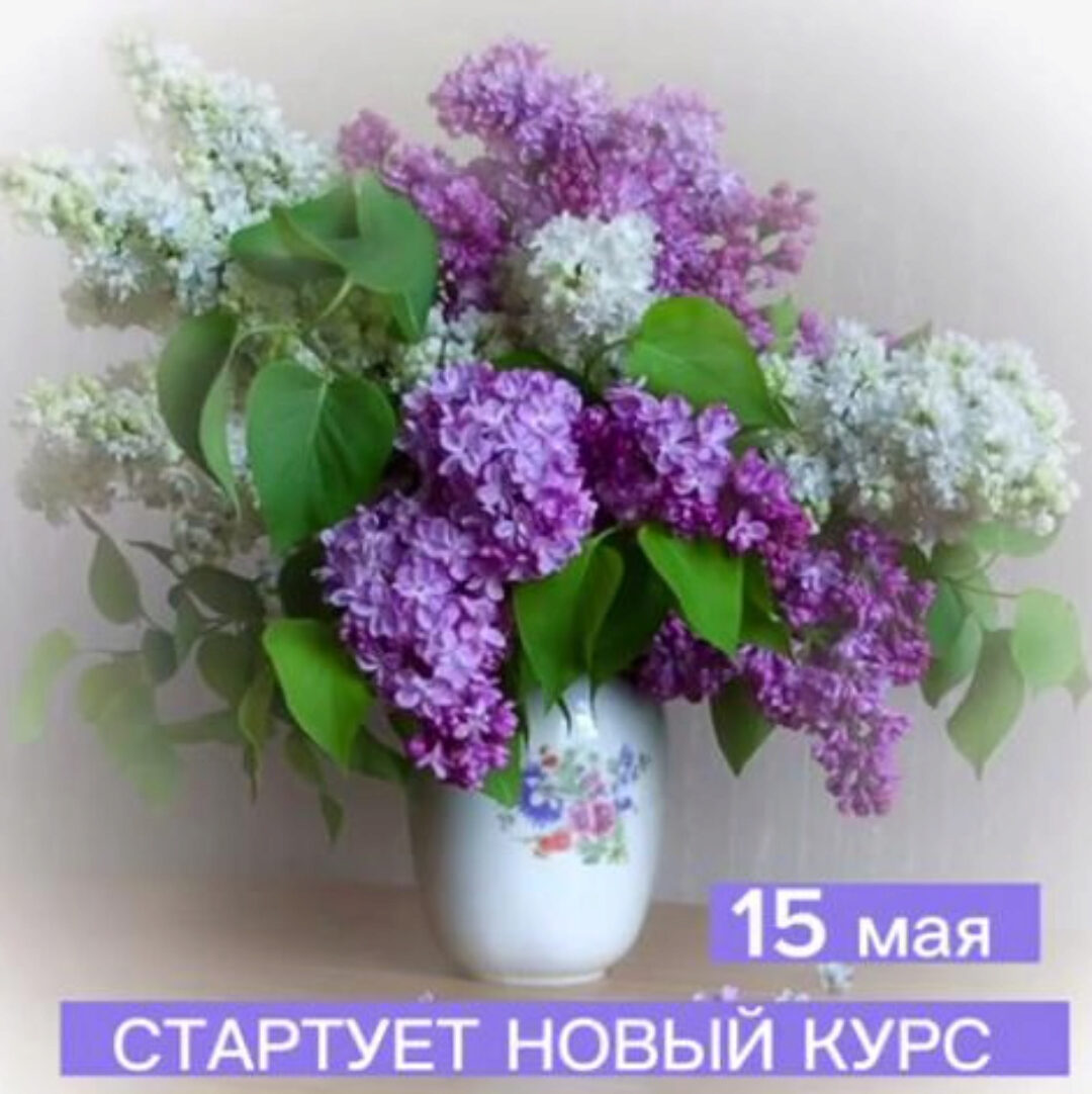 Сирень (Виталий Антипин)