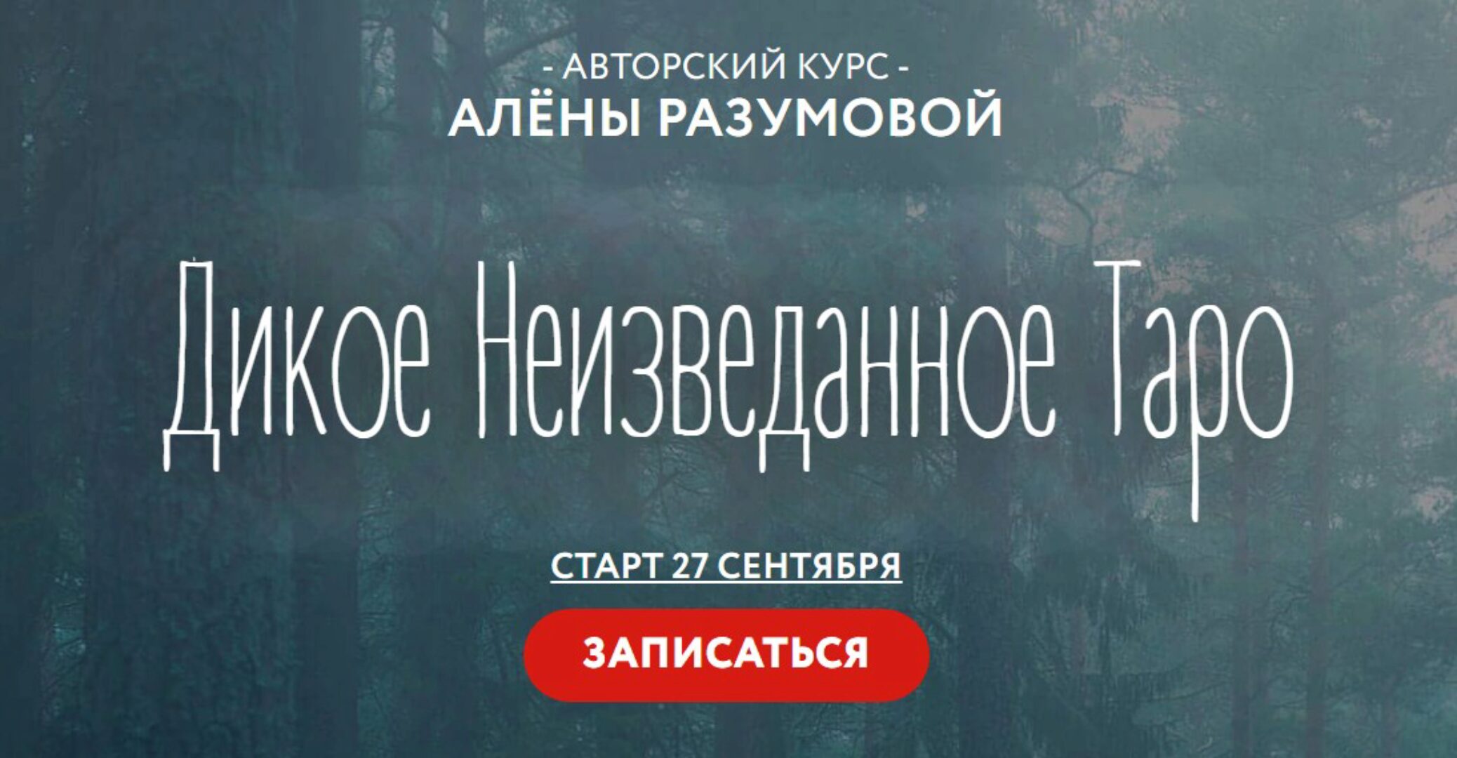 Дикое Неизведанное Таро - 2 блок (Алёна Разумова)