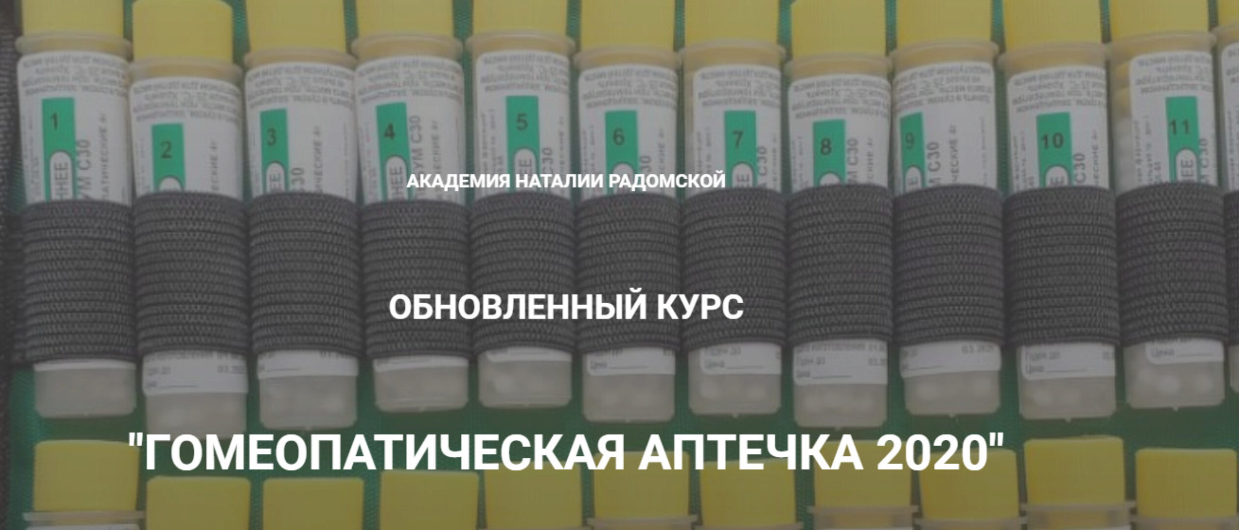 Гомеопатическая аптека 2020 (Наталья Радомская)