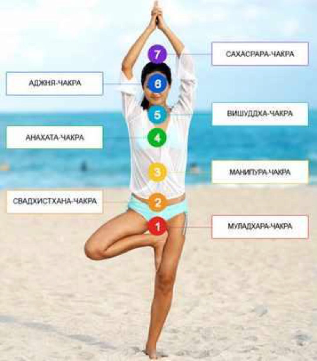 Чакры - наше все (Светлана Пилатова)