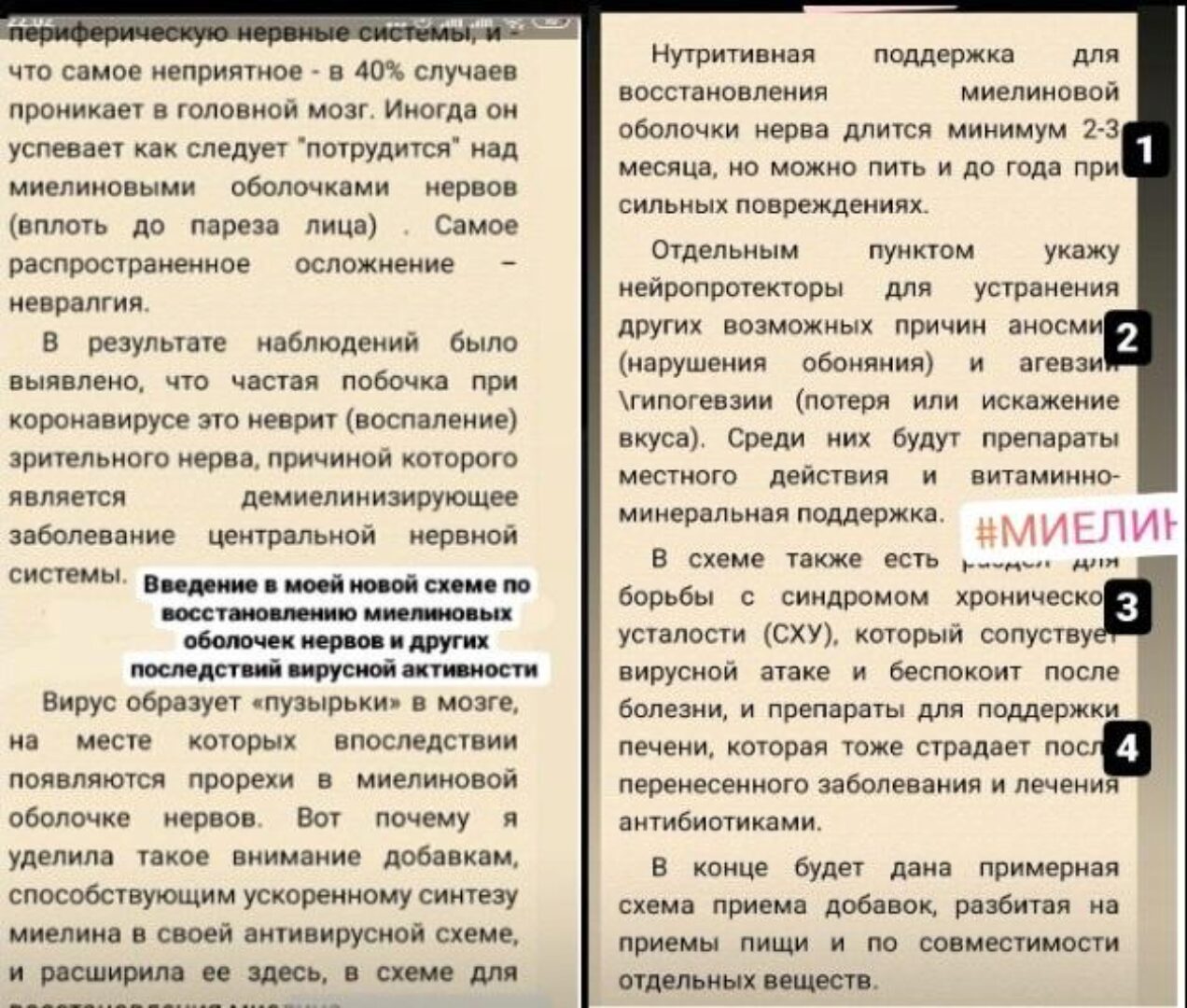 Схема по восстановлению миелиновых оболочек нервов (Ната Хаустова)