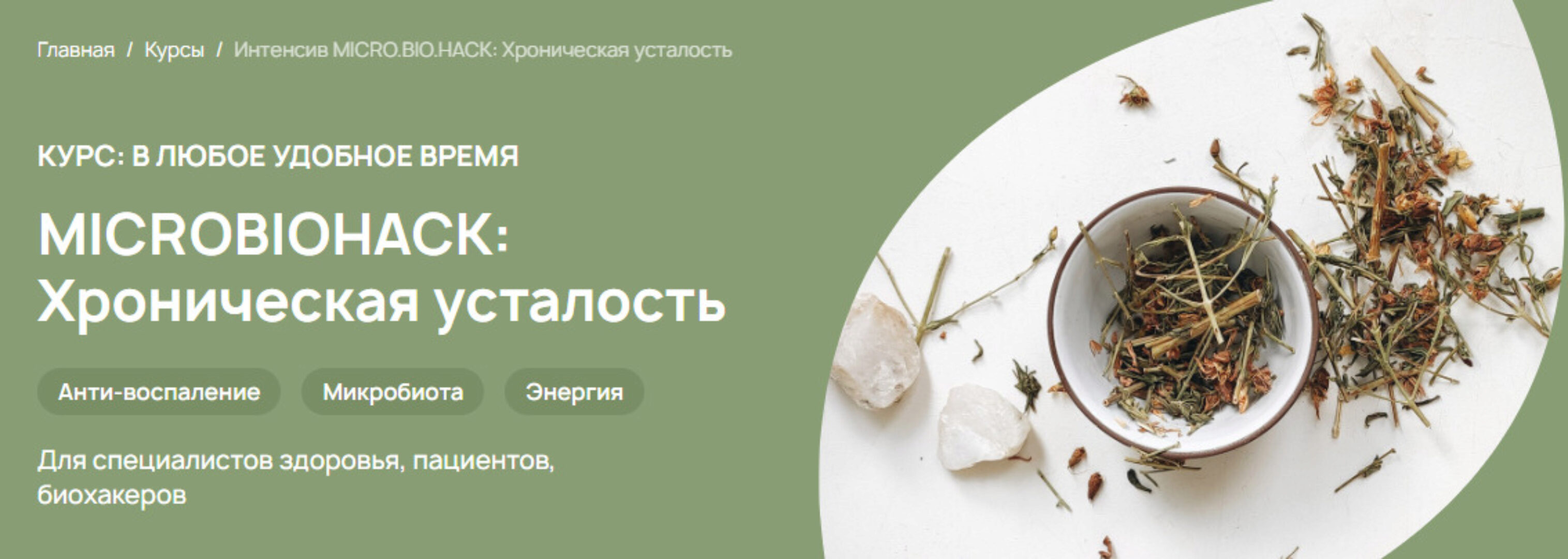 [Food bio chemistry] БИО-алгоритмы. Microbiohack: Хроническая усталость. Тариф Специалист (Анастасия Родионова)