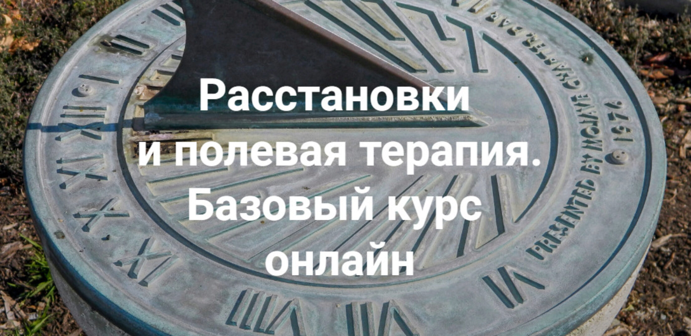 Расстановки и полевая терапия. Базовый курс онлайн 2023. Пакет Полный (Елена Веселаго)