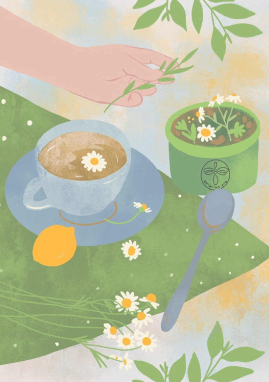 Чайные травы 2024. Тариф Чай+сборы (Ольга Думкина)