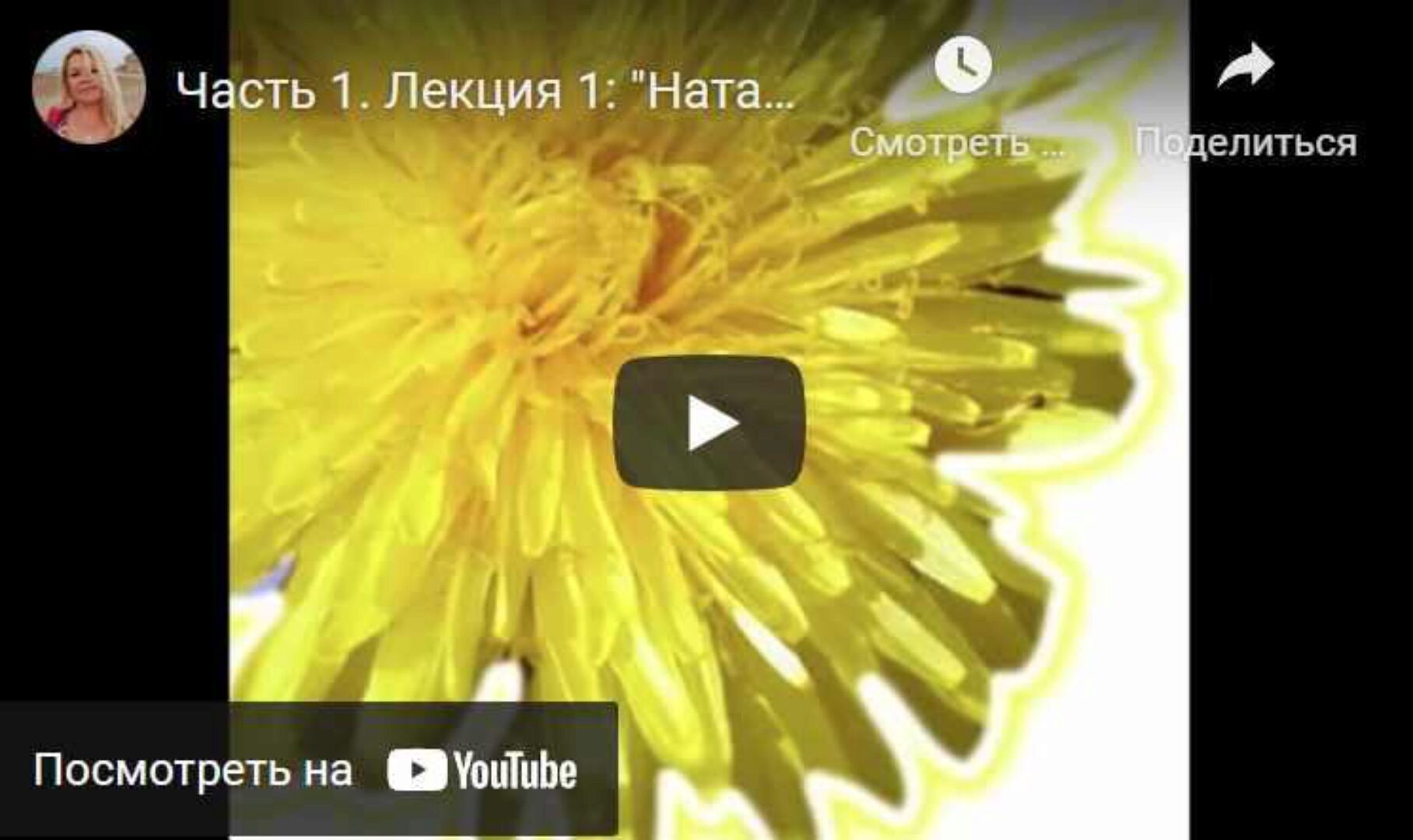 Понятная Астрология. Секреты натальной карты (Евгения Саликова)