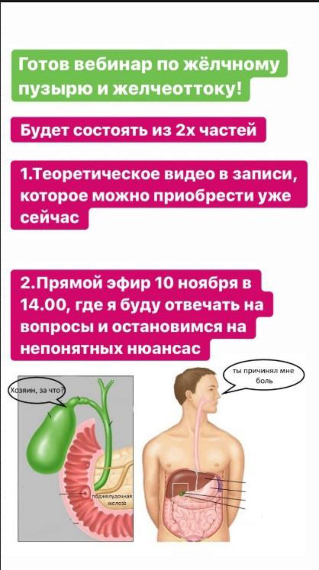 Желчный пузырь и отток желчи (Дарья Ермишина)