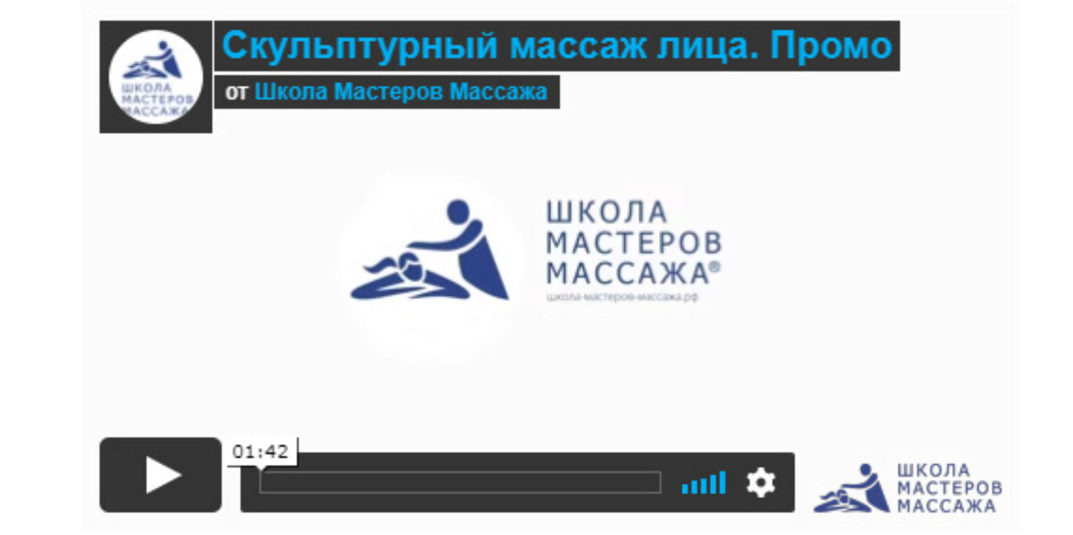 [Школа Мастеров Массажа] Профессия фейс-мастер (Анастасия Фомина)