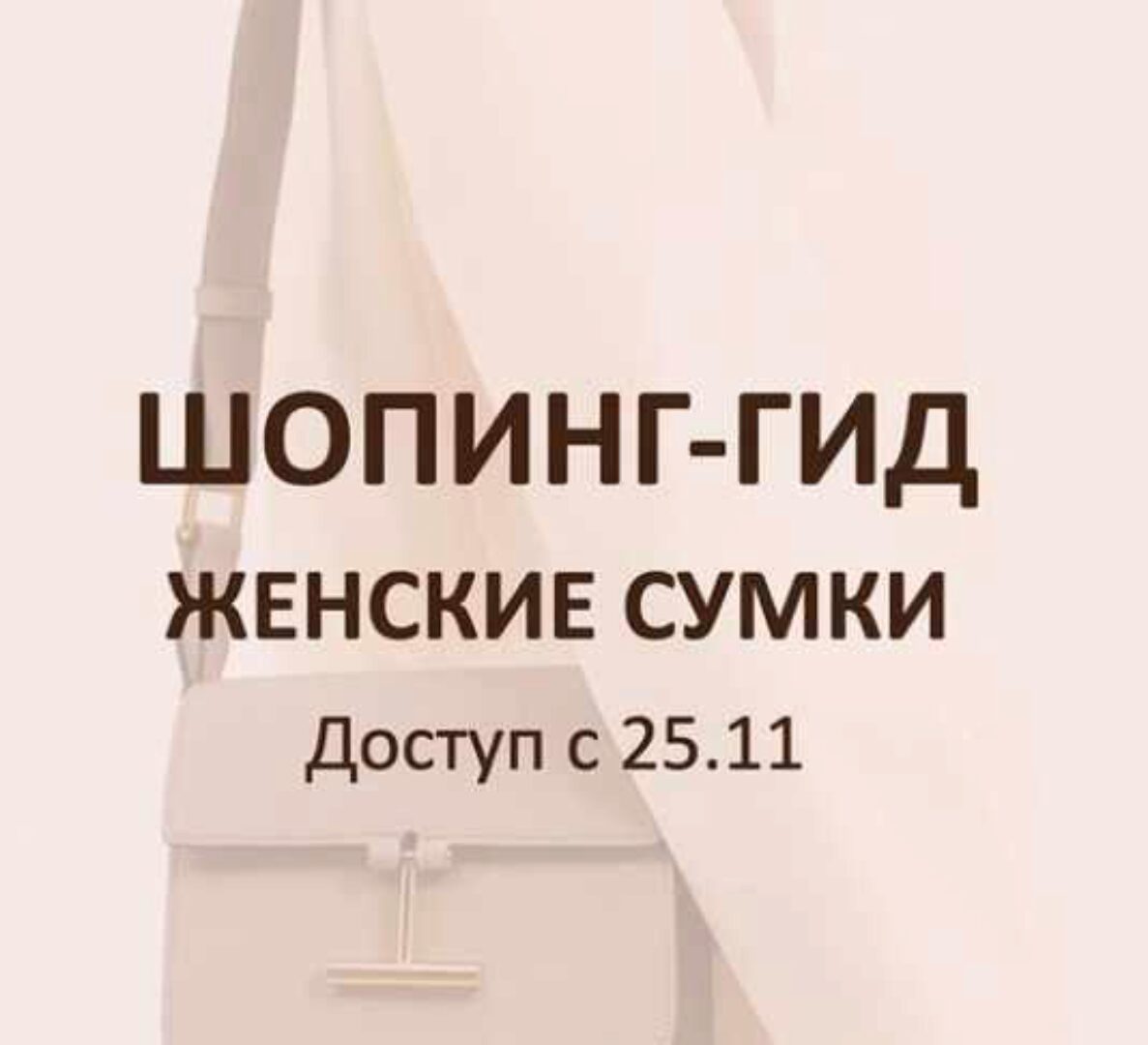 [Школа Шопинга] Женские сумки (Татьяна Тимофеева)