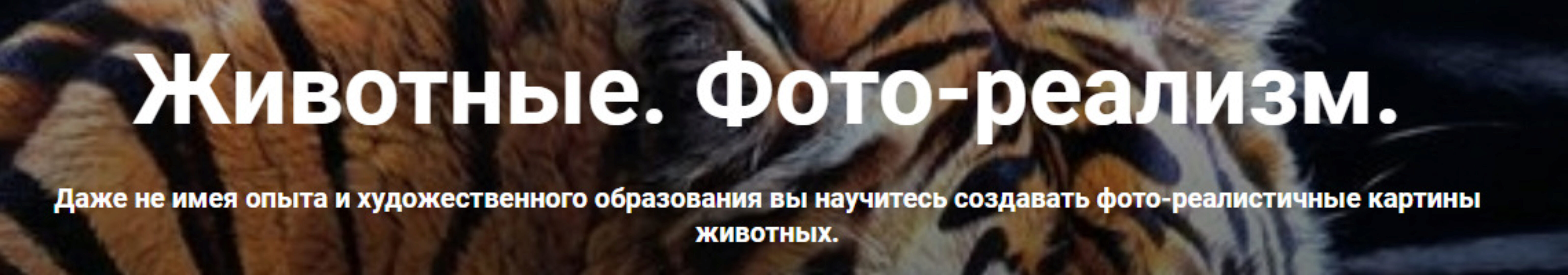 Животные. Фото-реализм. Тариф Стандарт (Александр Шатале)