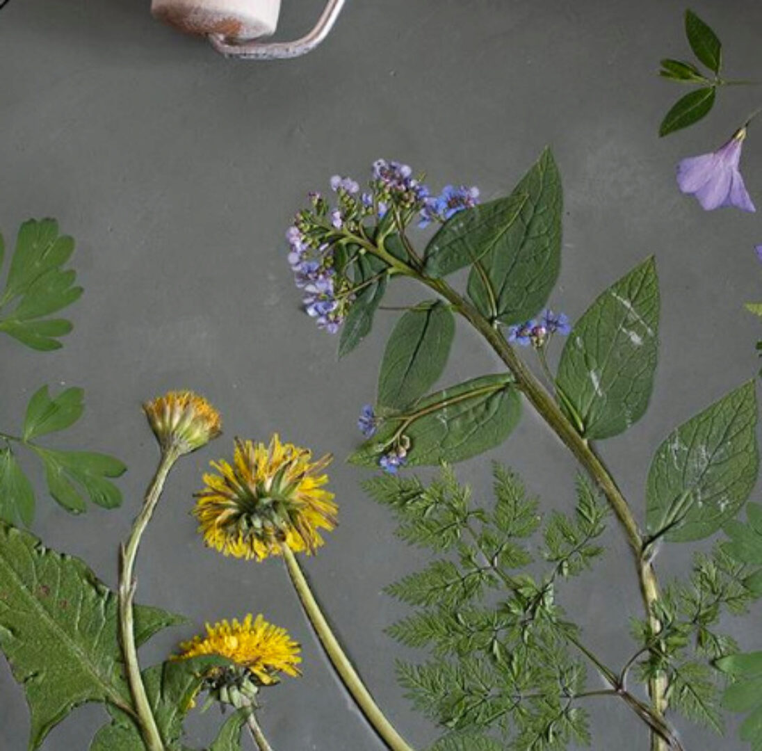 Основа техники создания барельефа (Анна Телегина)