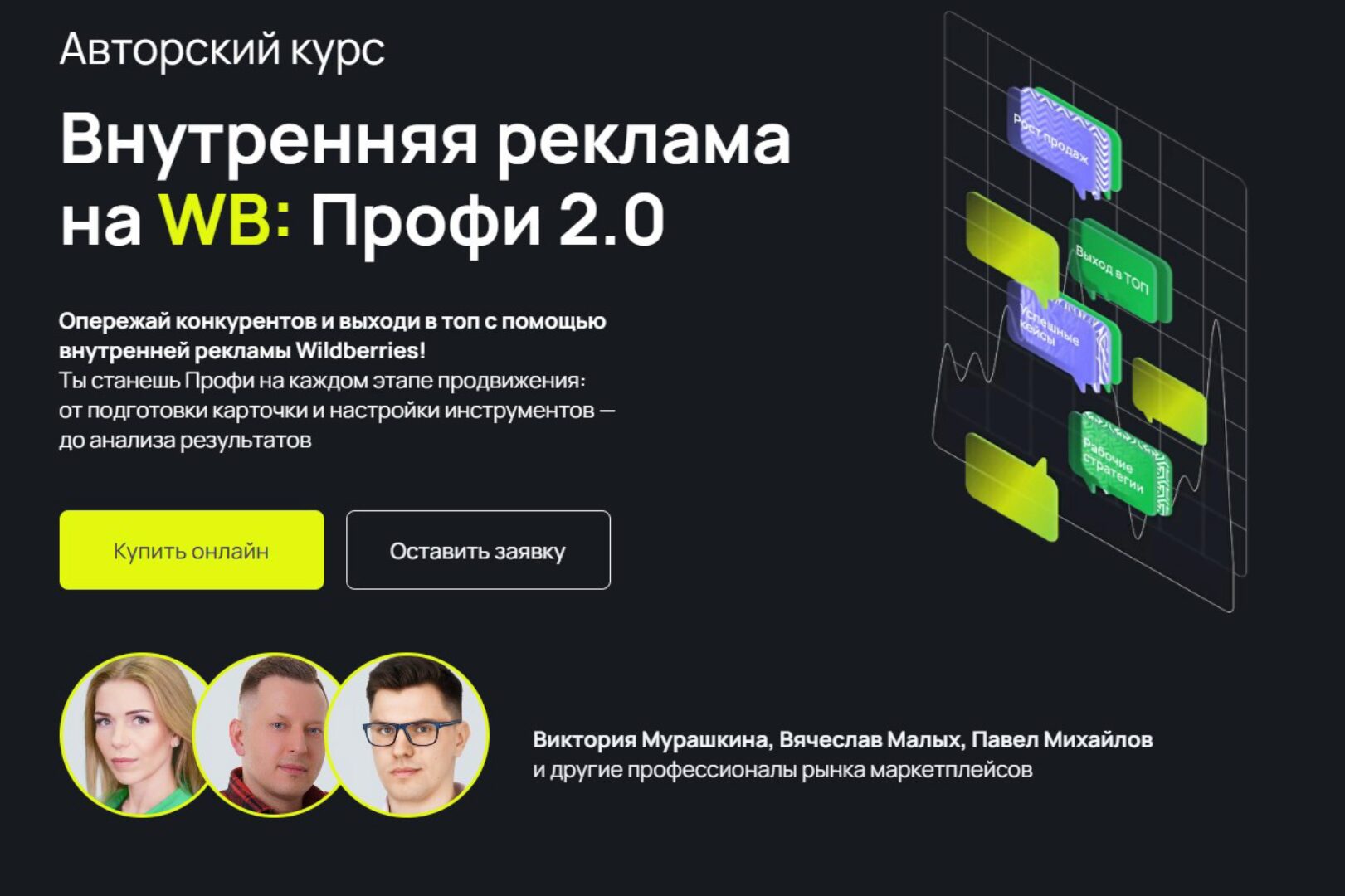 Внутренняя реклама на Wildberries: Профи 2.0. Тариф Профи. С куратором (Виктория Мурашкина, Вячеслав Малых, Павел Михайлов)