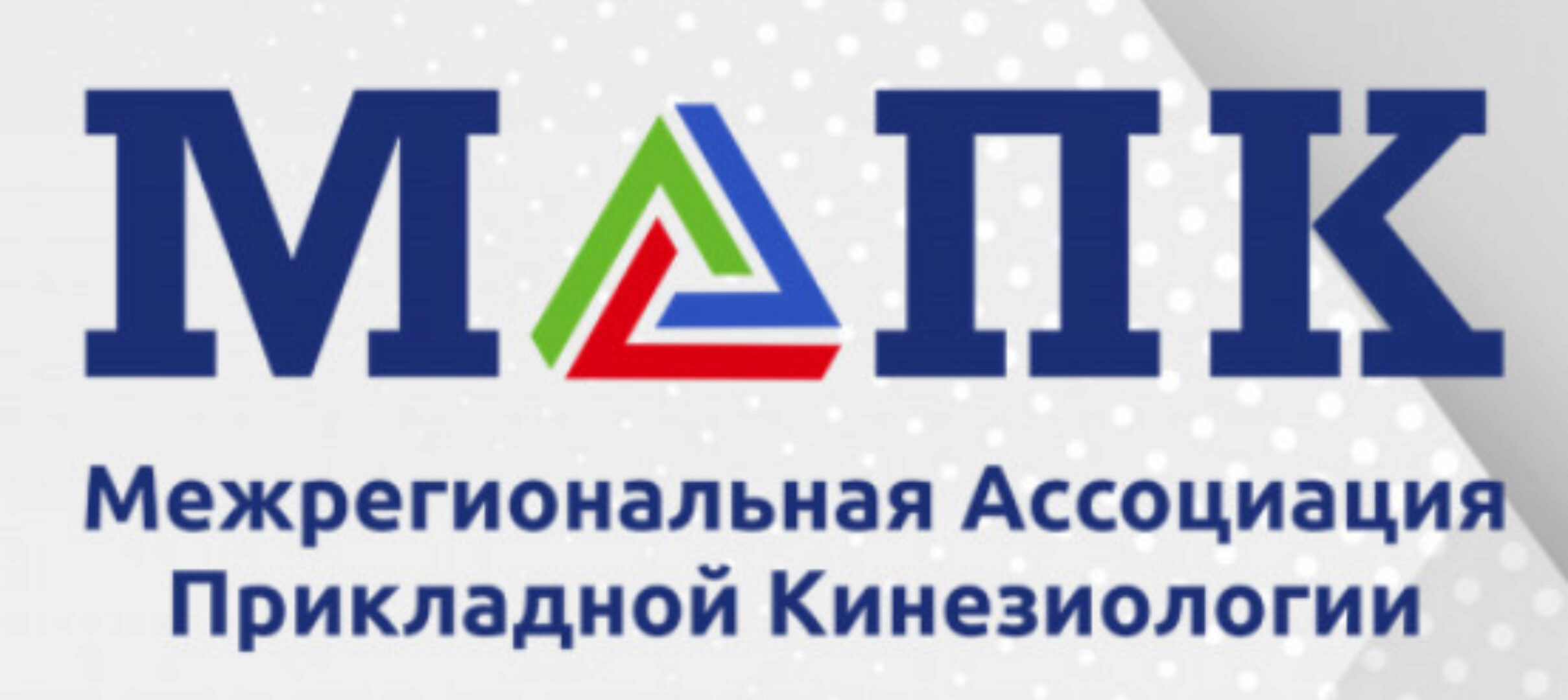 Функциональная неврология в прикладной кинезиологии 2011 (Хосе Паломар)