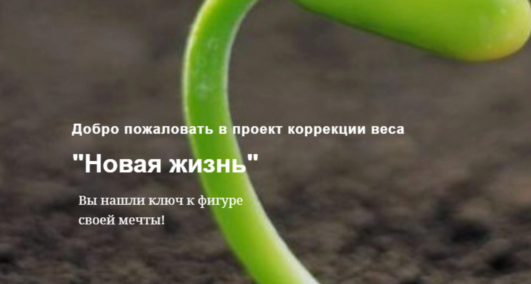 Новая жизнь. Проект коррекция веса. Тариф Я сама (Ева Шишова)