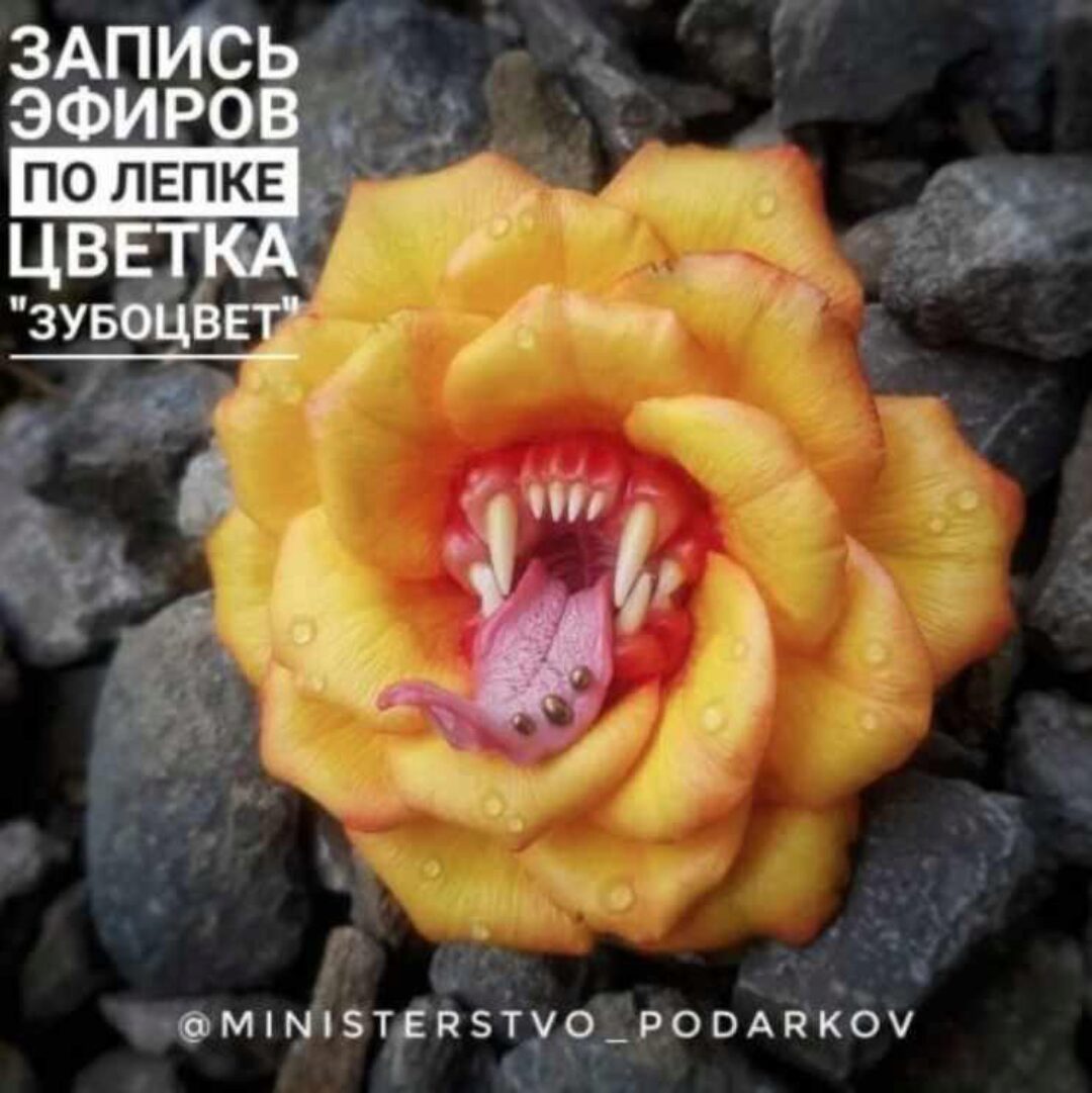 [Лепка] Запись эфиров по лепке цветка «Зубоцвет» (Наталья Столярова)