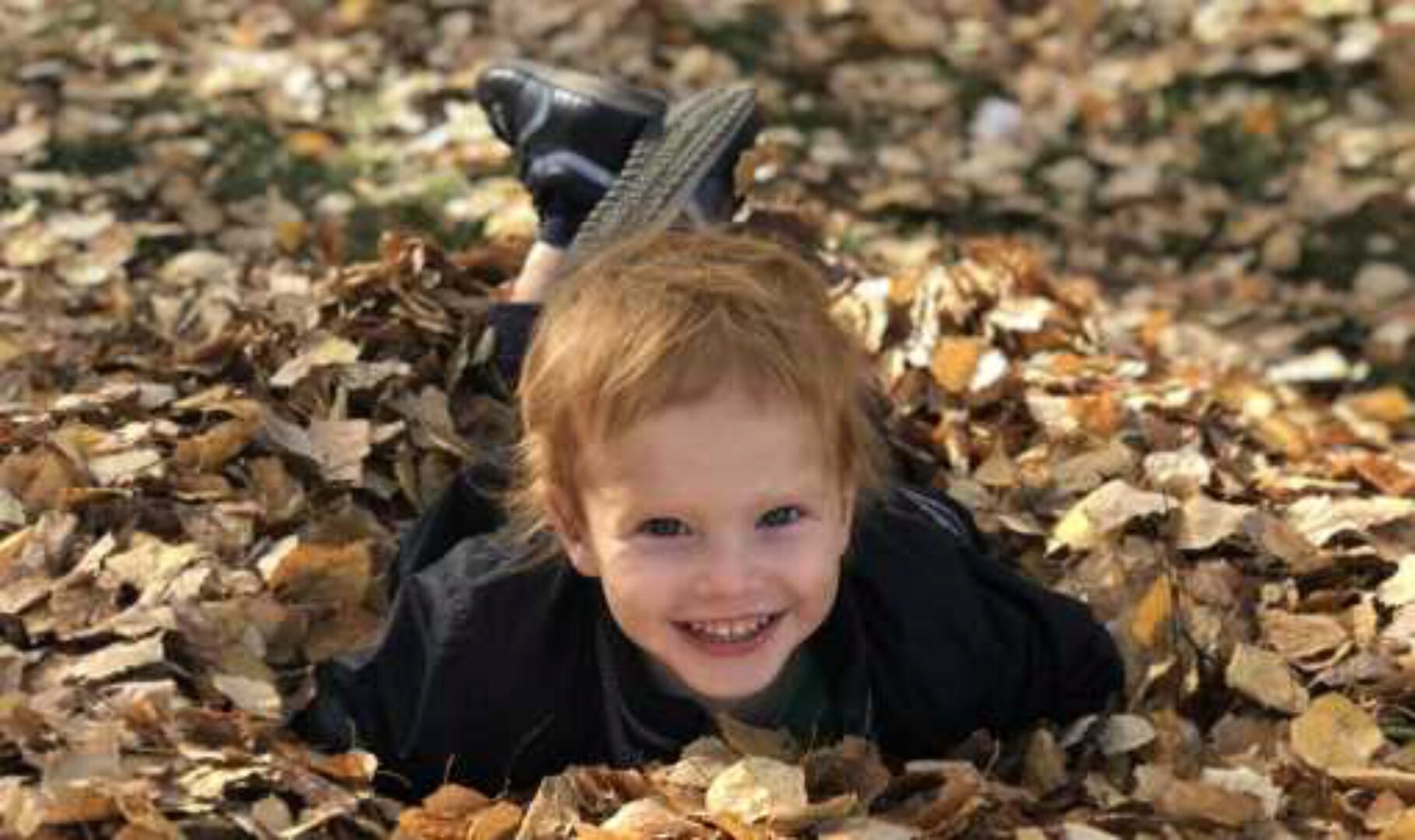 PRO ребёнка 1-3х лет. Полный комплект курсов (Ольга Дутова)