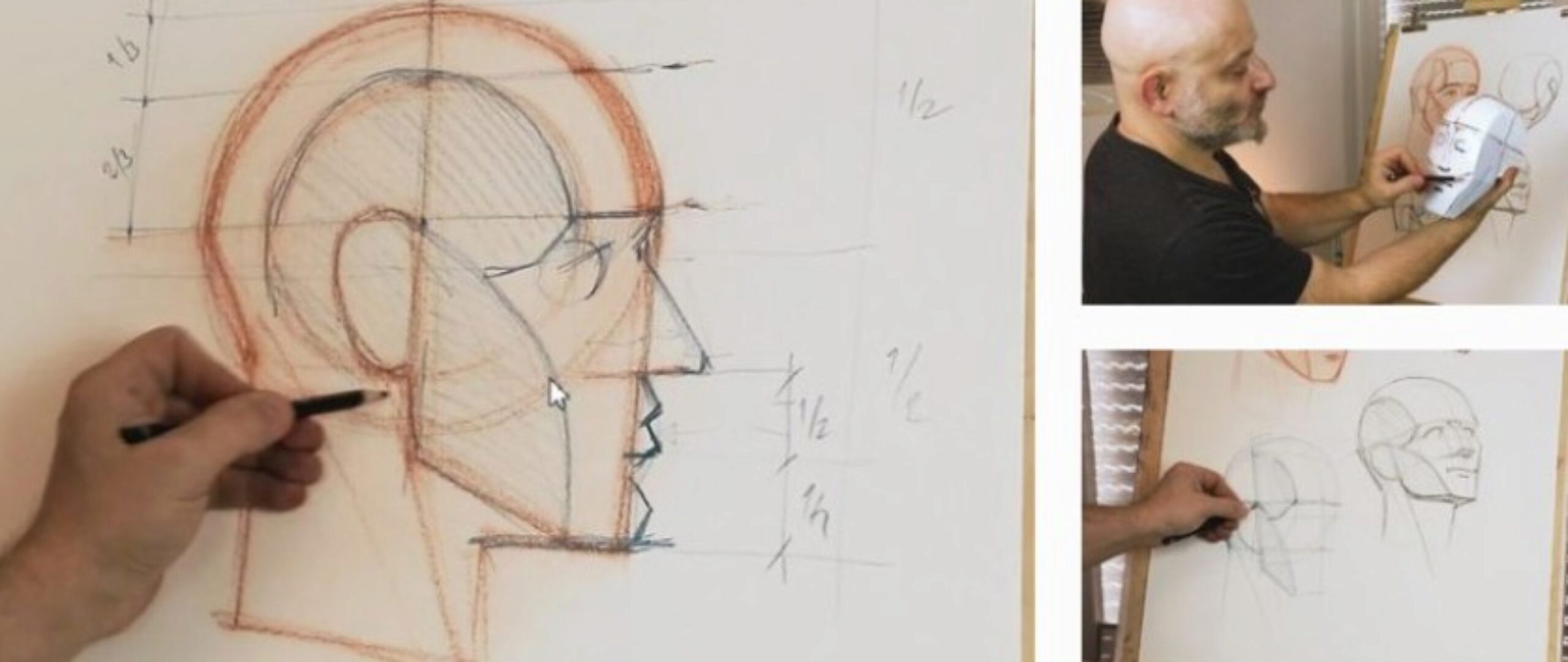 [Enterclass] Рисование головы по методу Эндрю Лумиса (Лев Каплан)