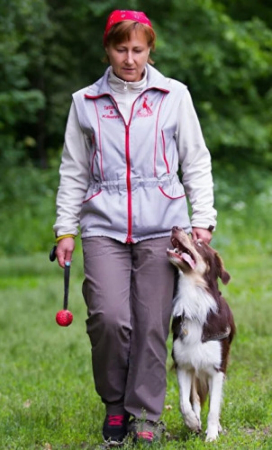 Онлайн-семинар Моя послушная собака (Татьяна Шаманова)