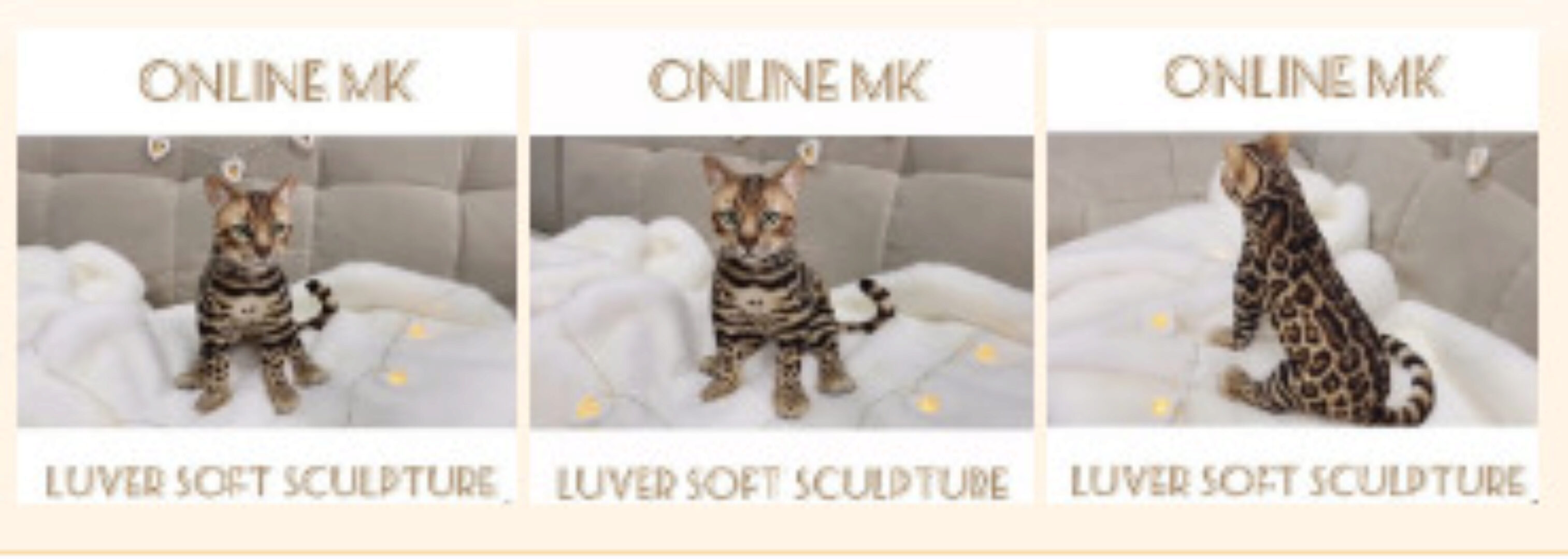 Бенгальский котёнок в смешанной технике (Вера Перминова,Любовь Смирнова)