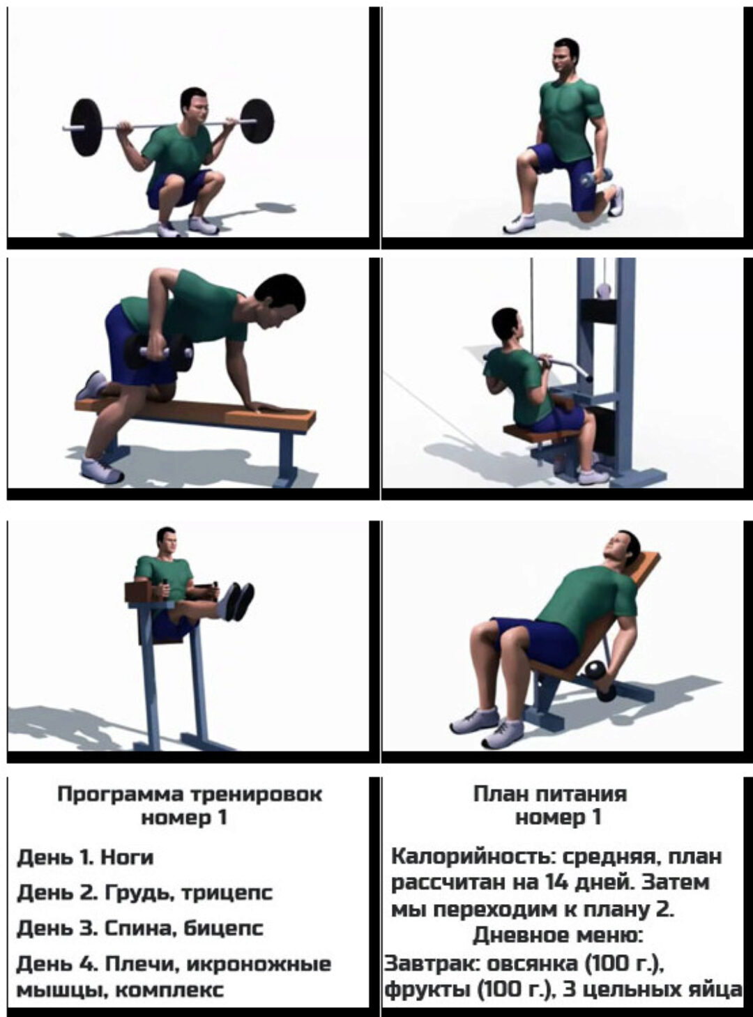 Your fit gym (Александр Добромиль)