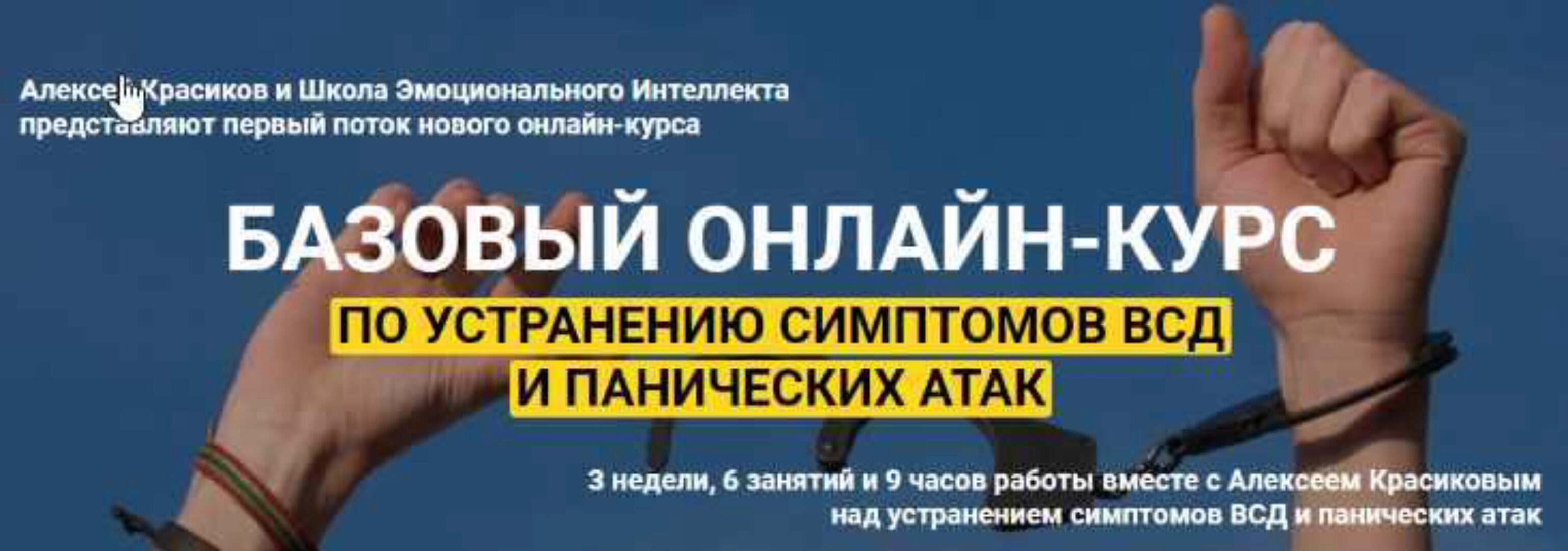 Базовый курс по устранению симптомов ВСД и панических атак (Алексей Красиков)