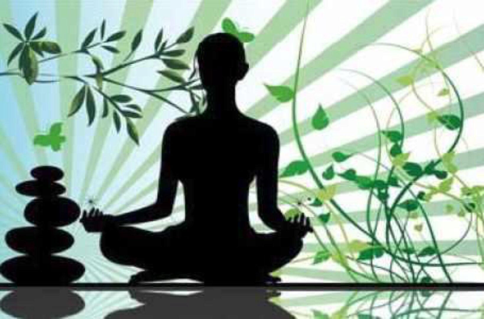 Су-Джок и Ароматерапия (Ангелина Пасхалиди, Ульвия Голденбрук)