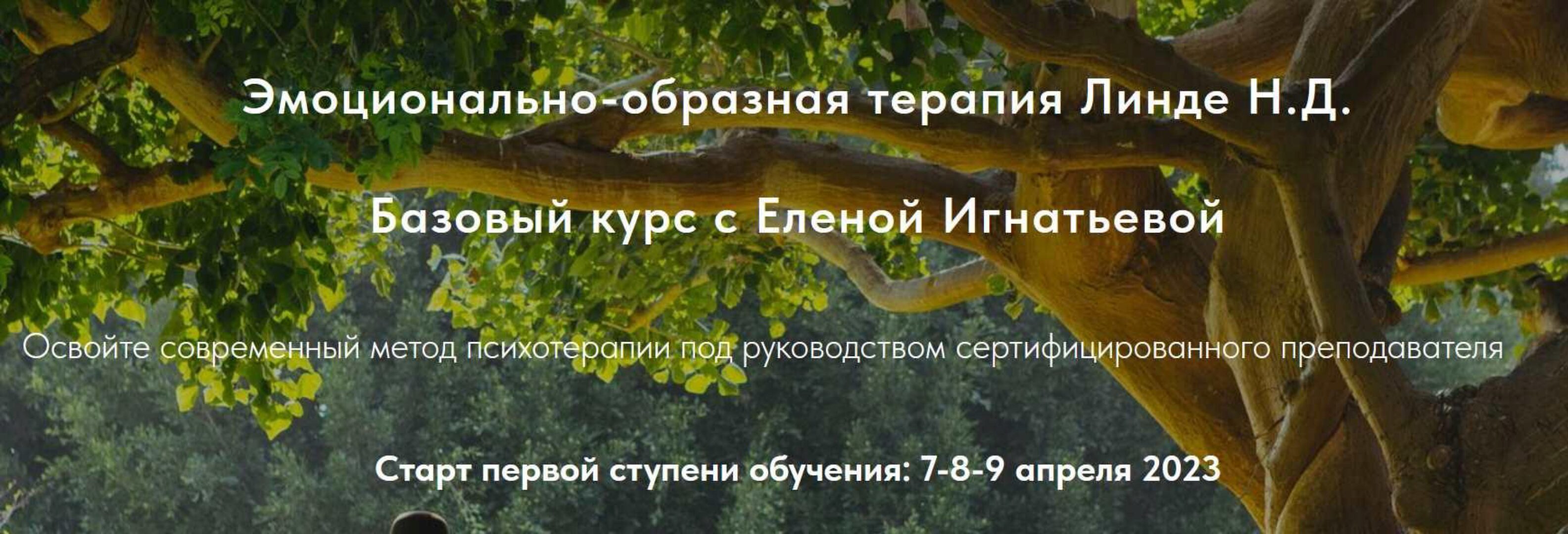 Базовый курс эмоционально-образной терапии. Ступень 1: Теория, приемы и методы эмоционально-образной терапии (Елена Игнатьева)