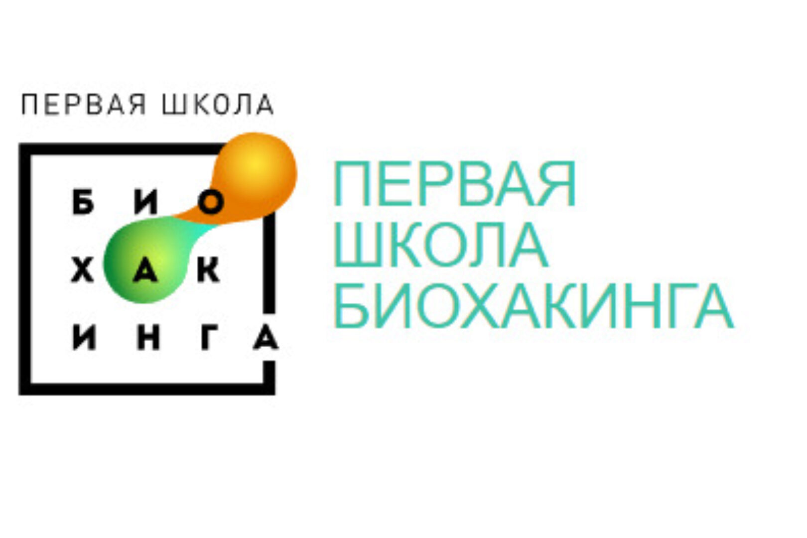 [Первая школа биохакинга] Актуальное руководство по инфузионной терапии (Ирина Баранова)
