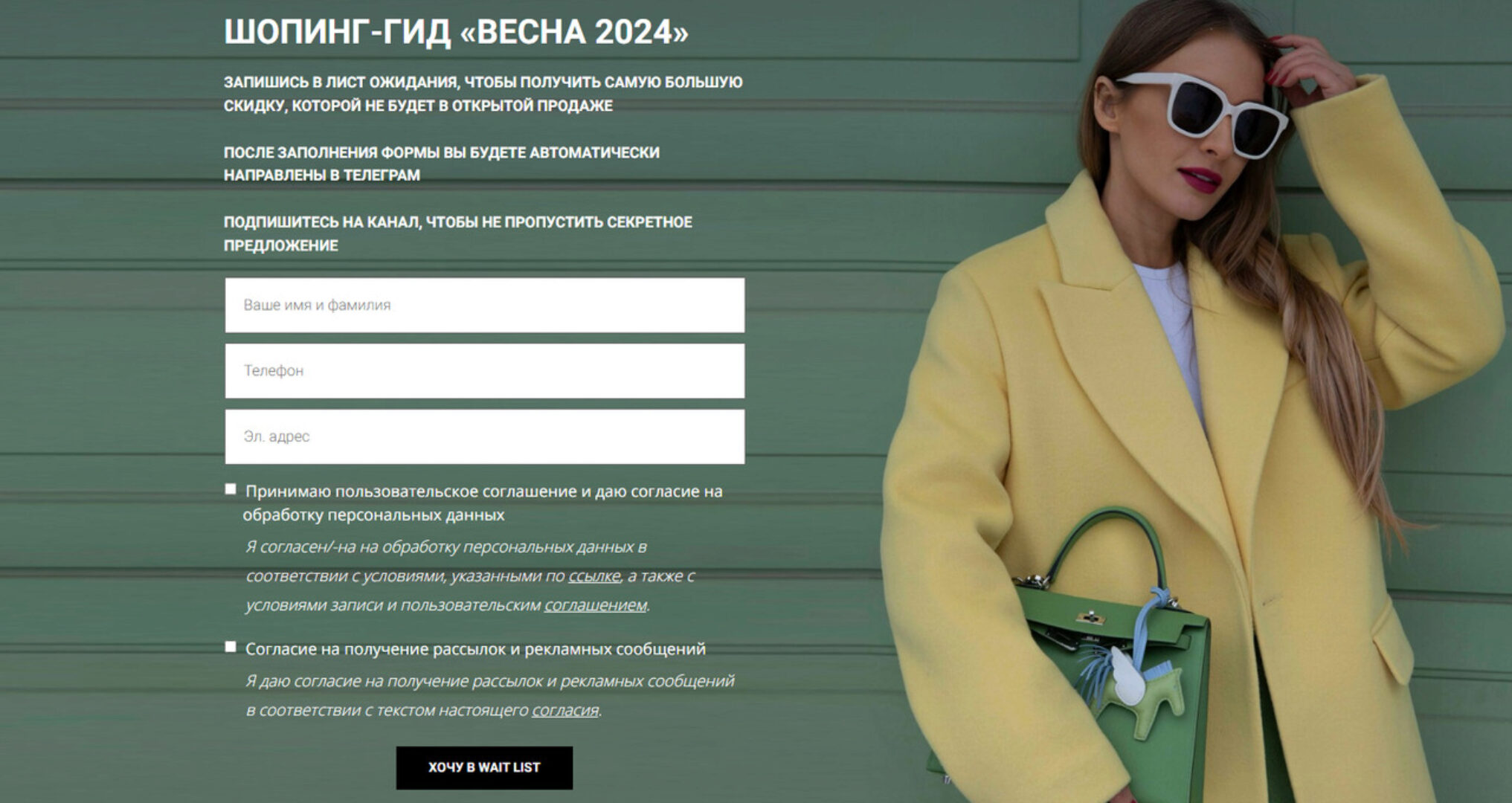 [Школа Шопинга] Шопинг-гид Весна 2024. Шопинг-гид по весенним коллекциям. Оба гида (Татьяна Тимофеева)