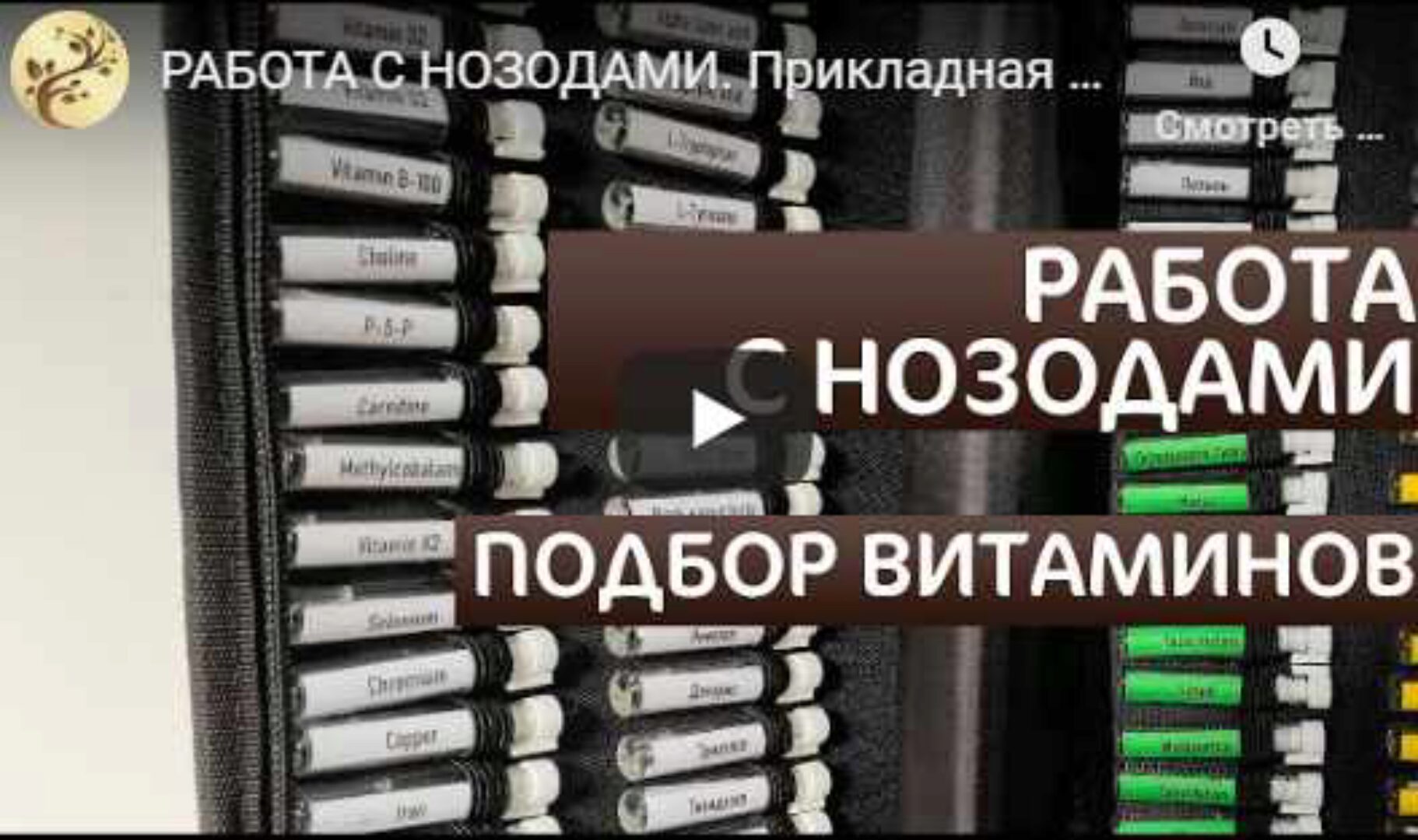 Прикладная кинезиология. Анатомические поезда. Миофасциальные цепи (Антон Циванюк)