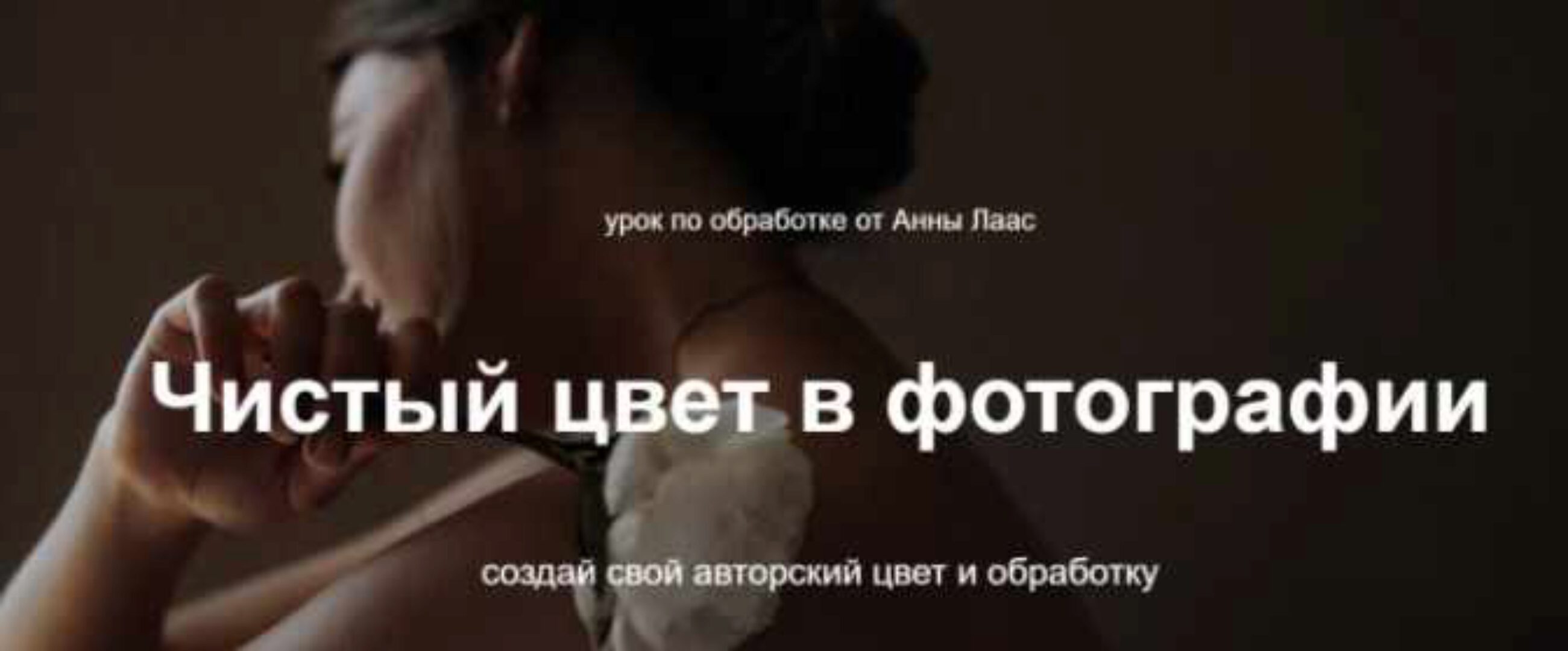 Чистый цвет в фотографии (Анна Лаас)