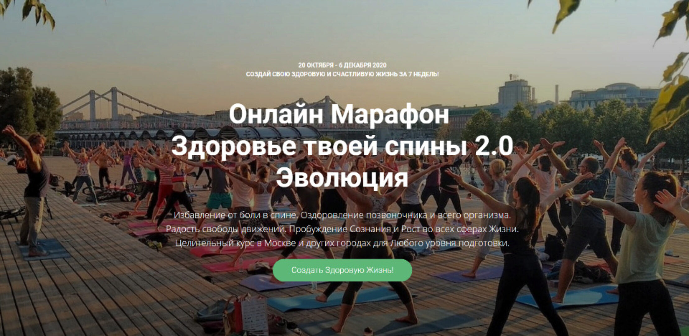 Здоровье твоей спины 2.0. Эволюция. Тариф Результат (Александр Волосков)