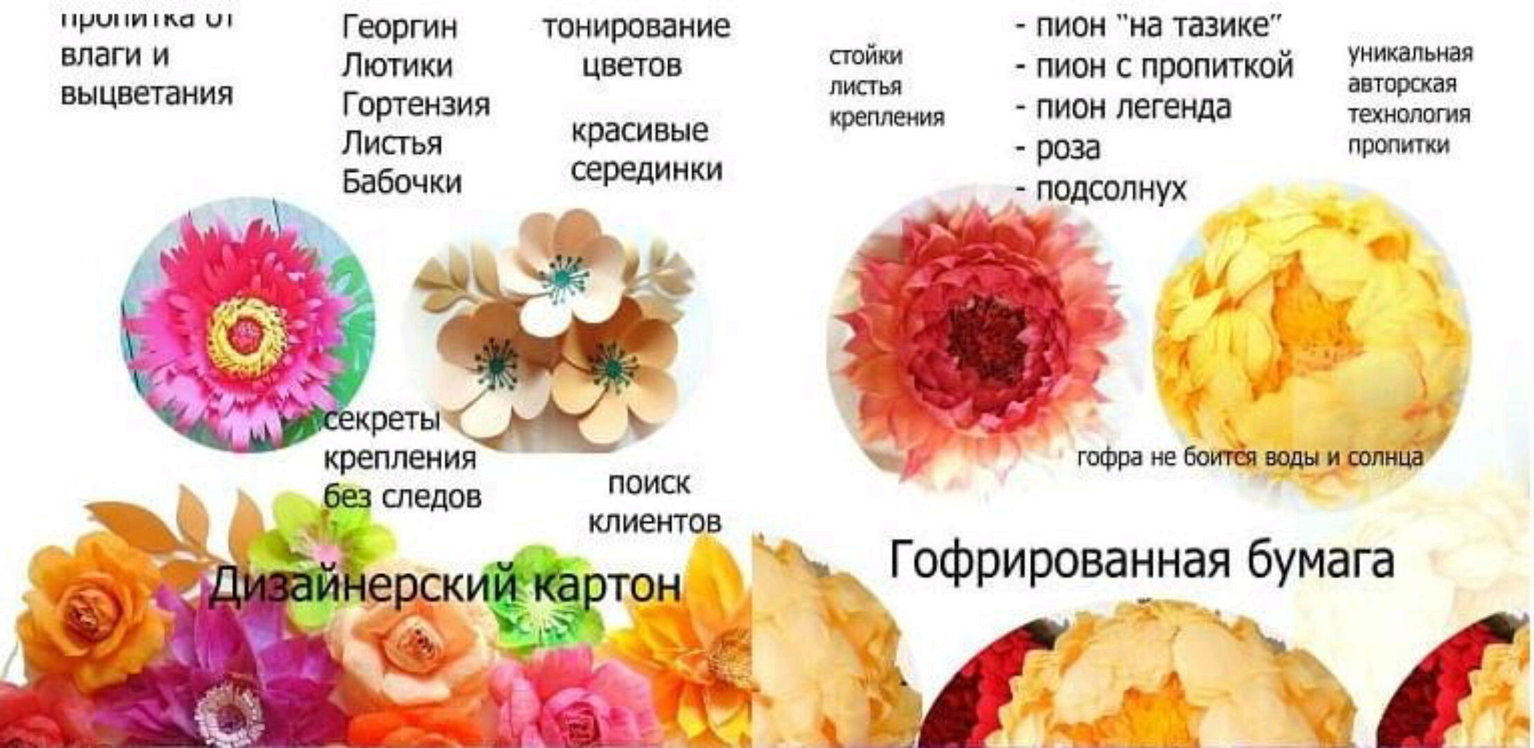 Большие цветы, ростовые цветы (Евгения Вавилова)