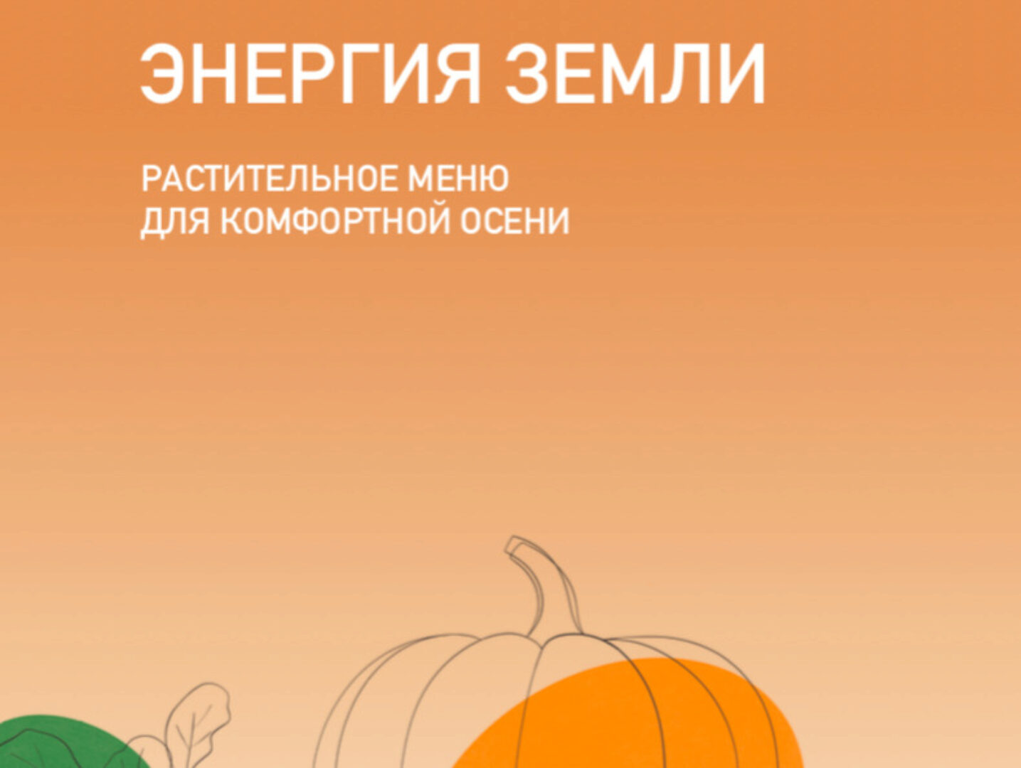 Сезонное меню. Энергия земли. Растительное меню для комфортной осени (Александра Ефимова)