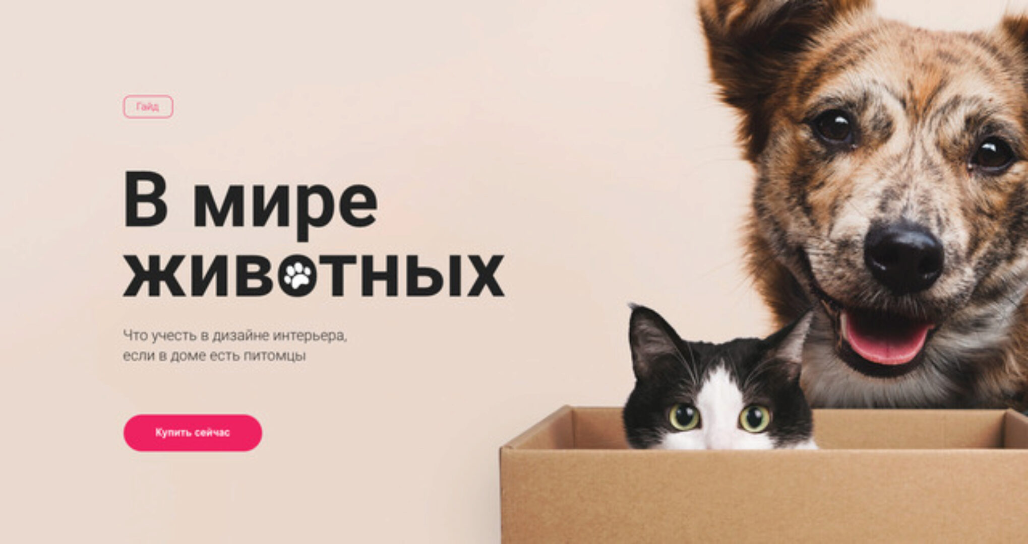 [Просто Ремонт] Гайд В мире животных (Ксюша Измайлова)