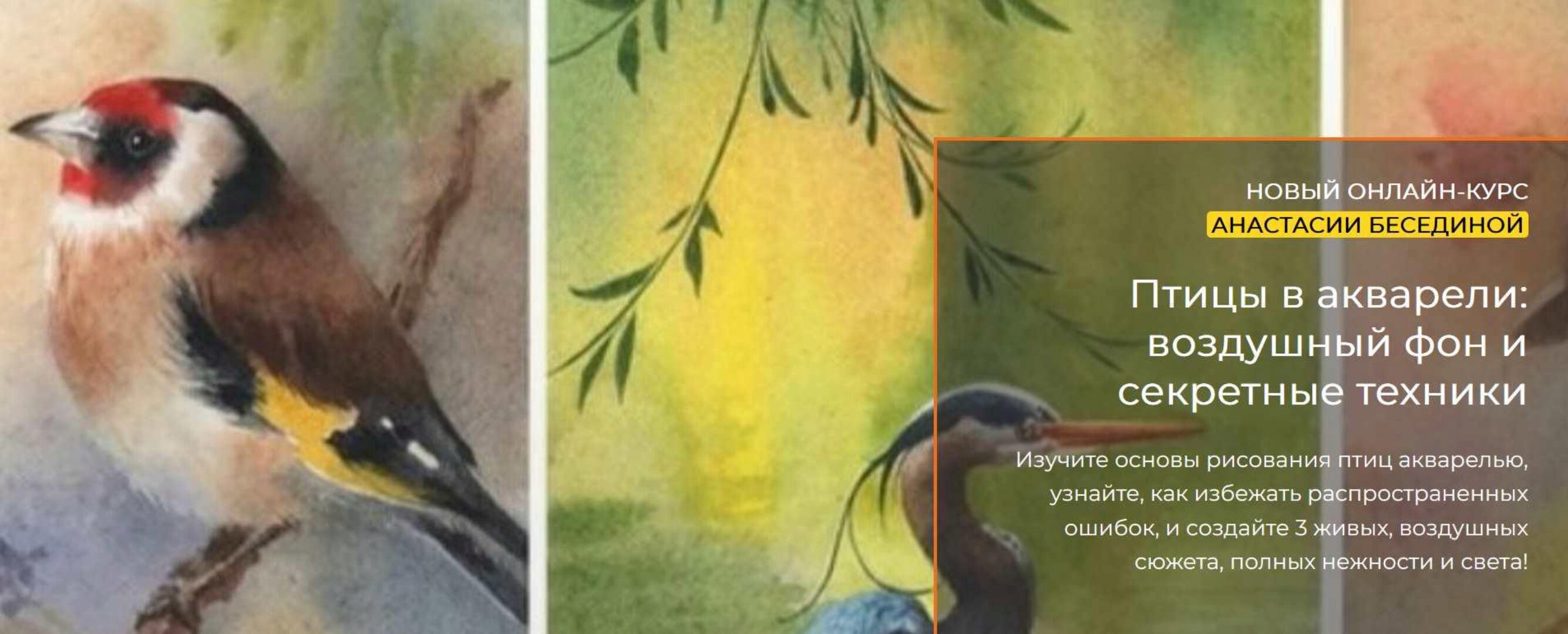 [artefactoschool] Птицы в акварели: воздушный фон и секретные техники. Тариф Стандарт (Анастасия Беседина)