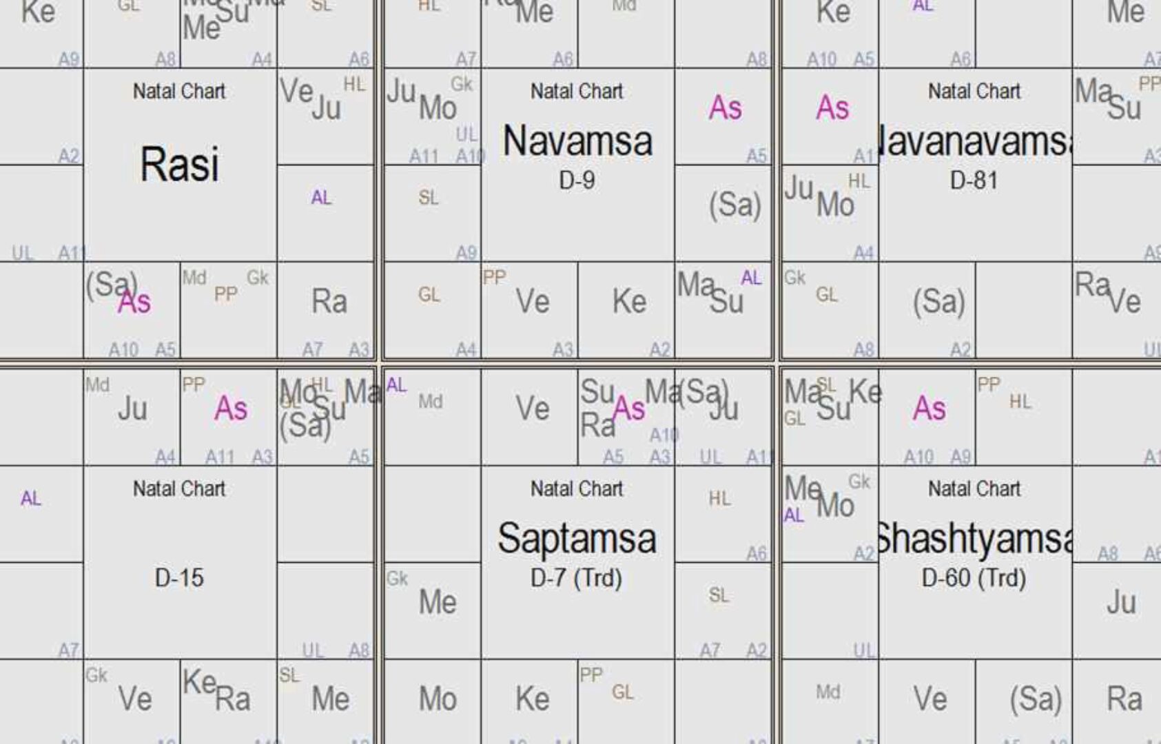 Ректификация по джйотиш (Александр Саливон)