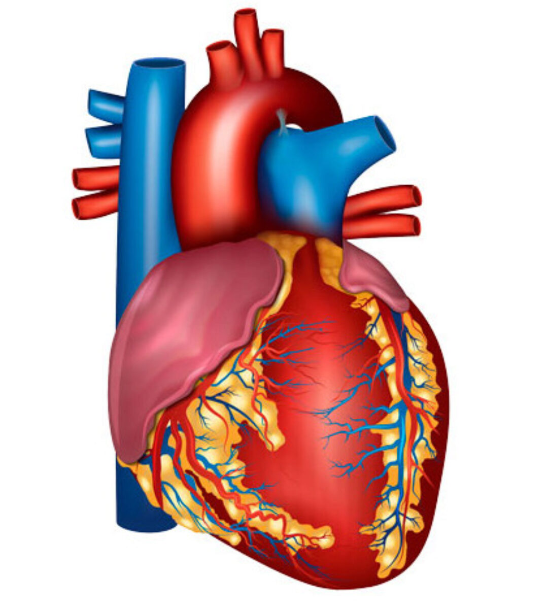 [Доктор Плесовских] Здоровье сердца и сосудов — как нормализовать артериальное давление (Татьяна Плесовских)